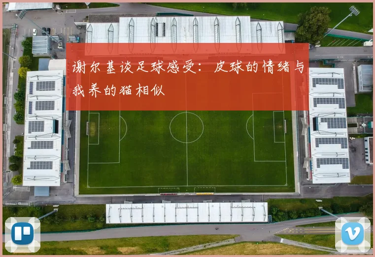 谢尔基谈足球感受：皮球的情绪与我养的猫相似